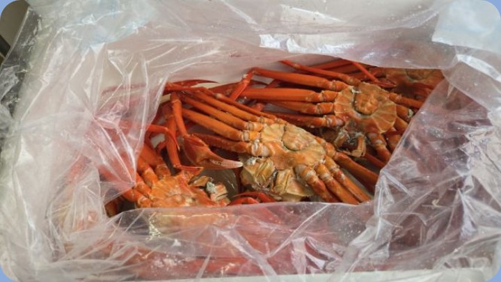 吉田運輸の福利厚生の一部(カニ支給)